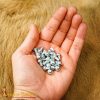 Mushroom Head Rivets for Armor – 10 mm – Set of 100