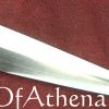 Darksword Sage Sword - Brown with Belt