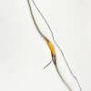 Black Mamba Scythian Recurve Bow