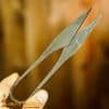 Medieval Scissors