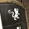Lion Shield - White - Foam Shield