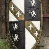 Lion Shield - White - Foam Shield
