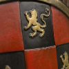 Checkered Shield - Red - Foam Shield