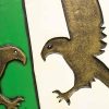 Eagle Shield - Green and White - Foam Shield