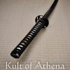 Hanwei Raptor Shinogi Zukuri Katana