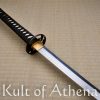 Hanwei Raptor Shinogi Zukuri Katana