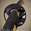 Hanwei Raptor Shobu Zukuri Katana
