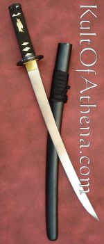 Hanwei Raptor Wakizashi