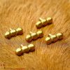Brass Belt Studs / Conchos - Set of 5