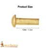 Brass Mushroom Head Rivets - Set of 25