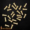 Brass Mushroom Head Rivets - Set of 25