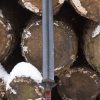 Epic Armoury - Jian Short Sword - 29 5/8'' - Foam Sword