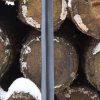 Epic Armoury - Crusader - long-blade version - 39.5'' - Foam Sword