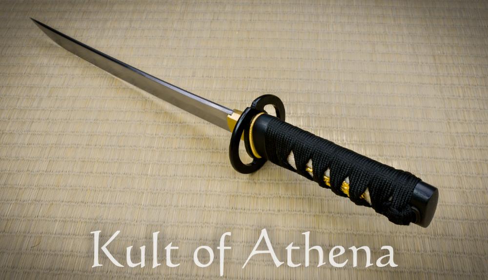 Ronin Katana - Dojo Pro Tanto #6