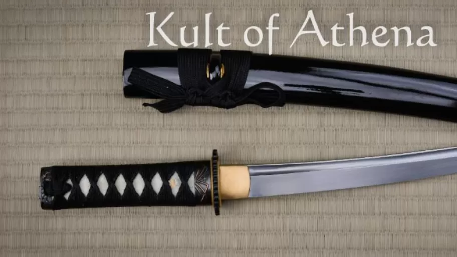 Ronin Katana - Dojo Pro Tanto #5